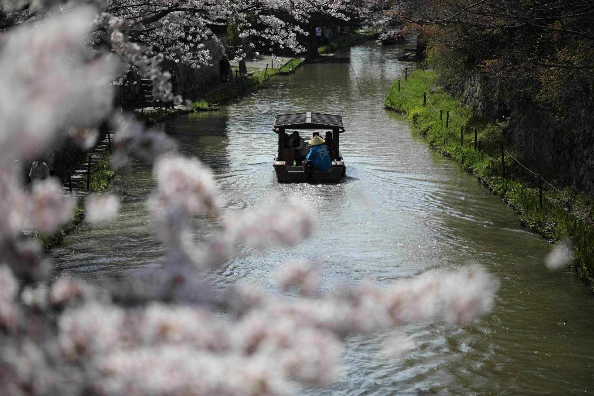 ゲストハウス桜 Guest House Sakura 便利な立地 貸し切り Omihachiman Esterno foto